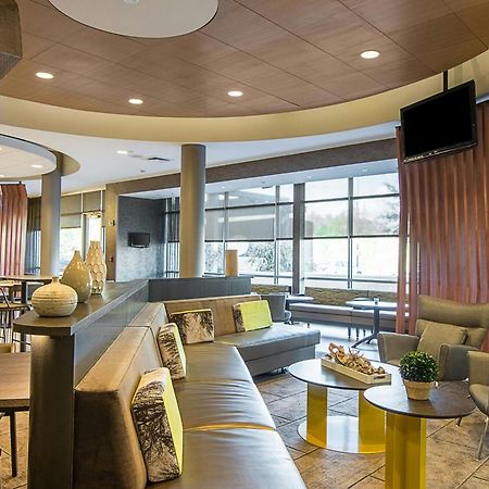 Springhill Suites Tampa North/Tampa Palms Esterno foto