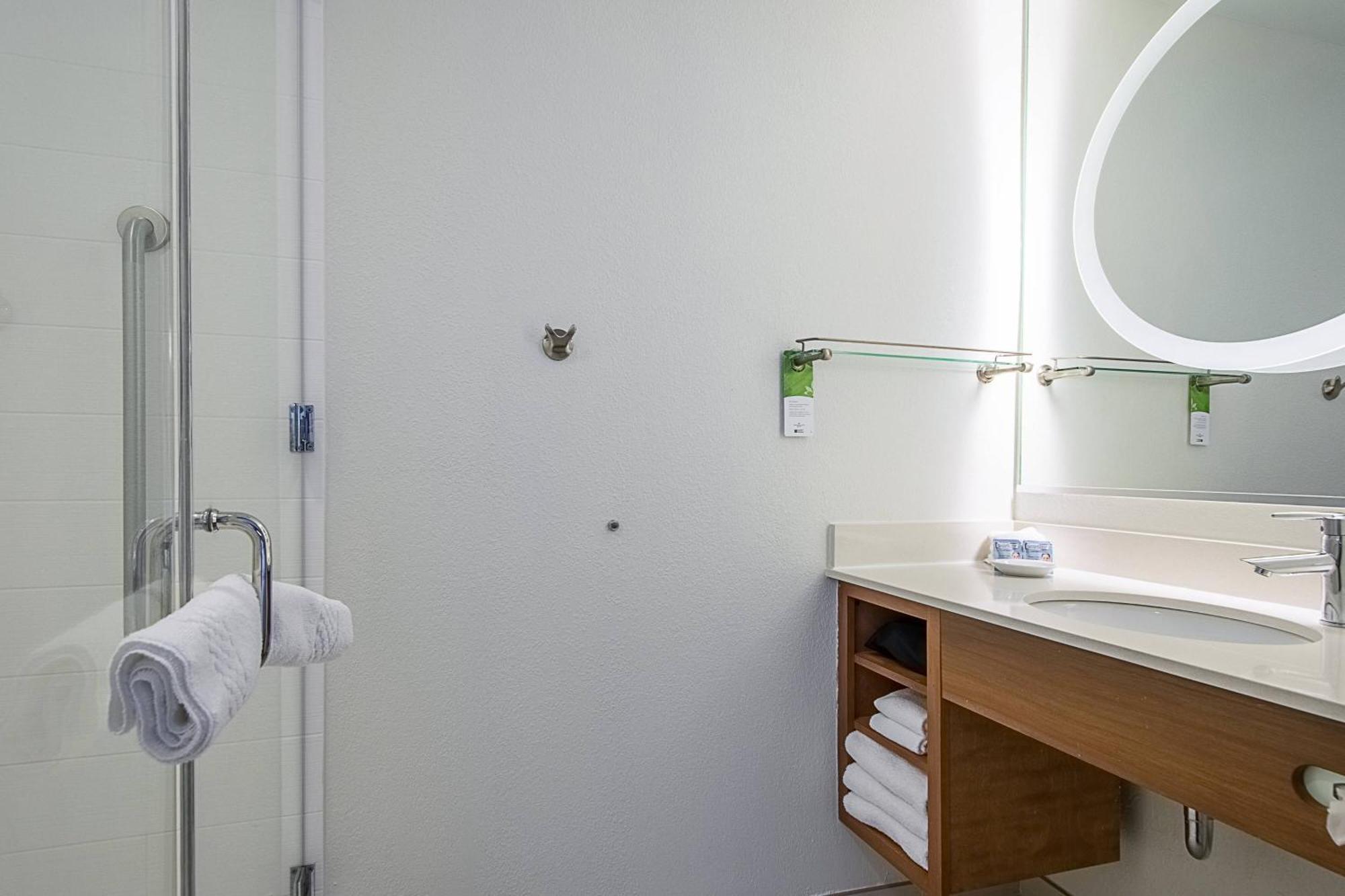 Springhill Suites Tampa North/Tampa Palms Esterno foto