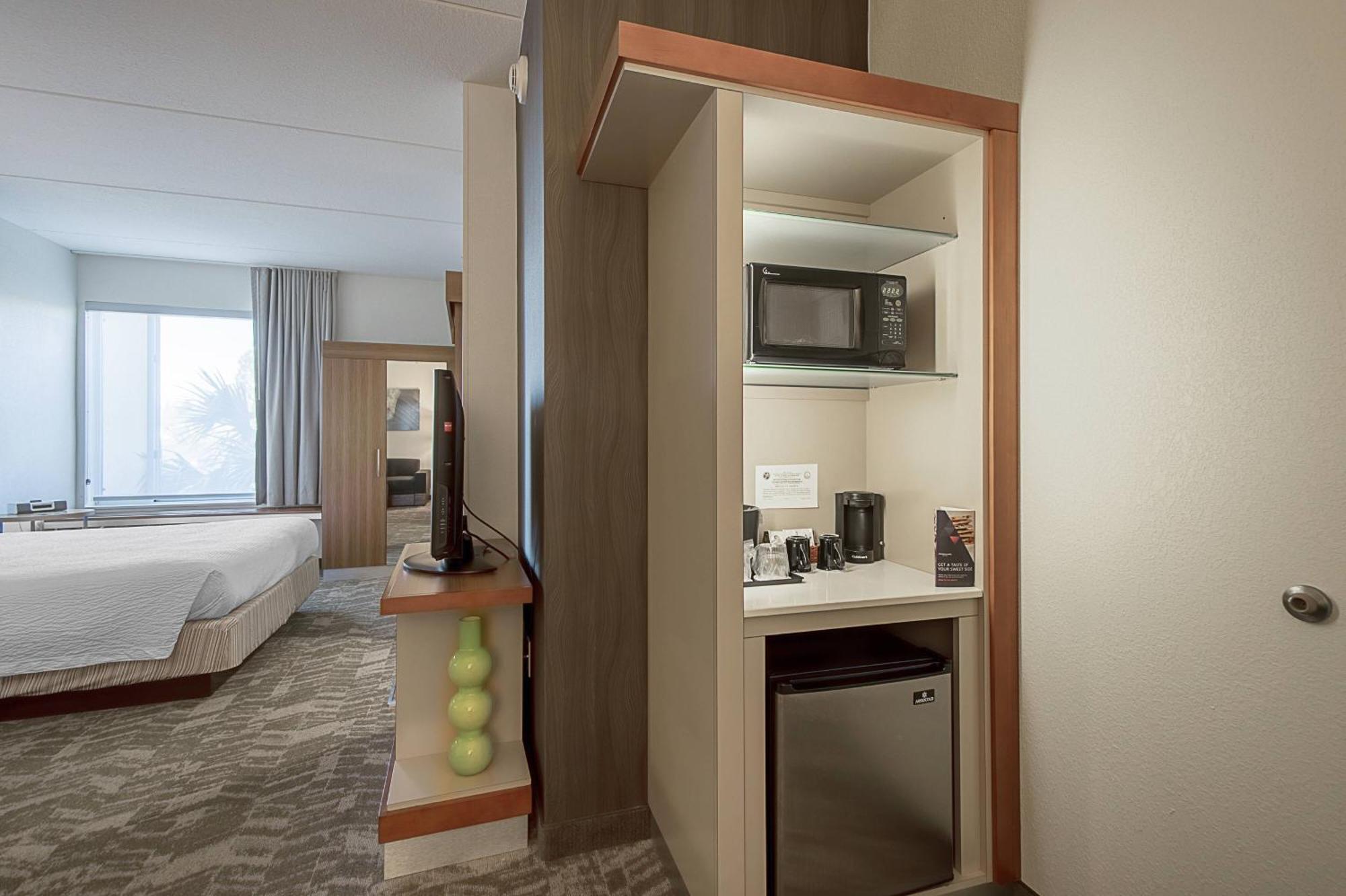 Springhill Suites Tampa North/Tampa Palms Esterno foto