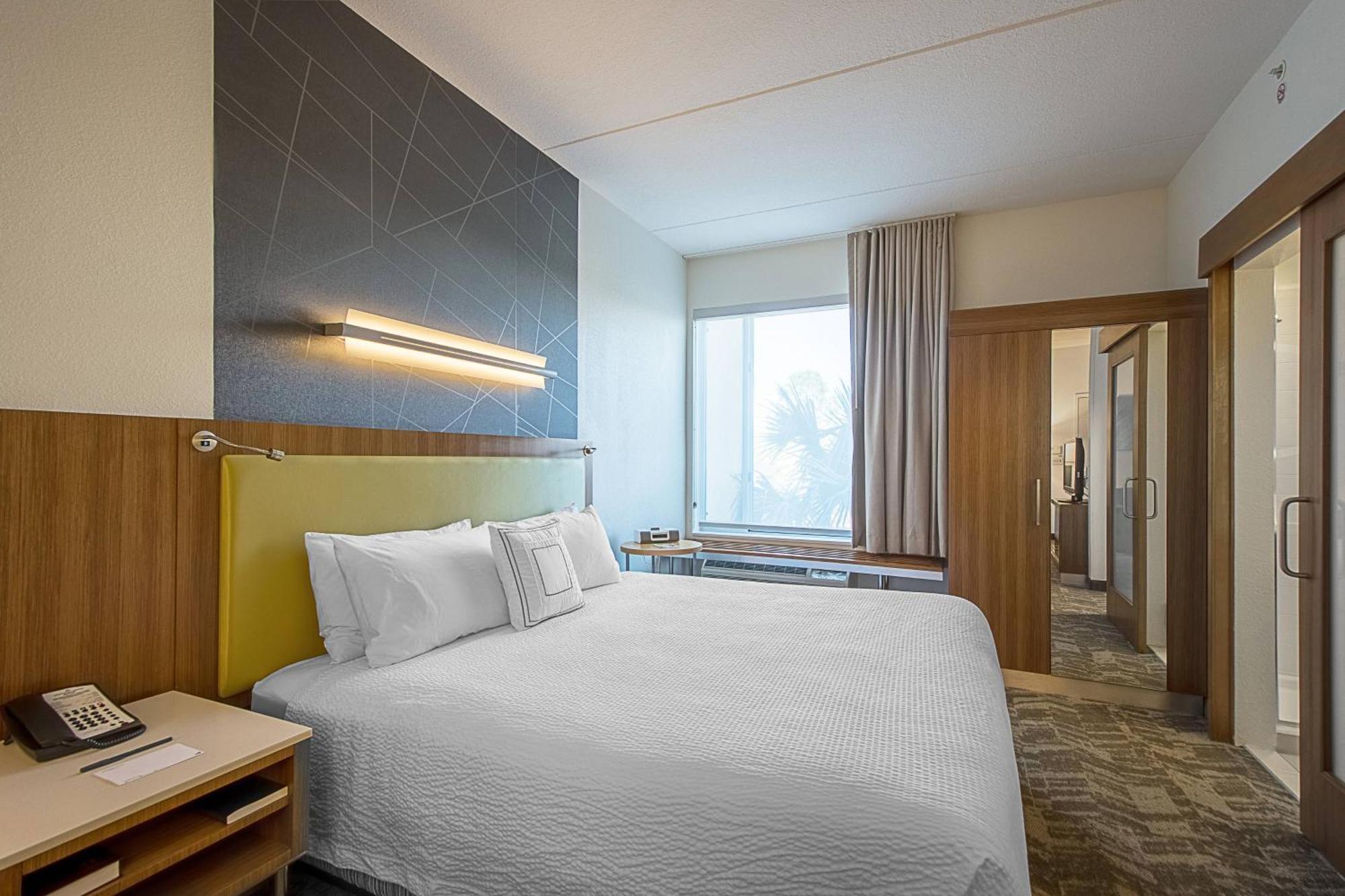Springhill Suites Tampa North/Tampa Palms Esterno foto