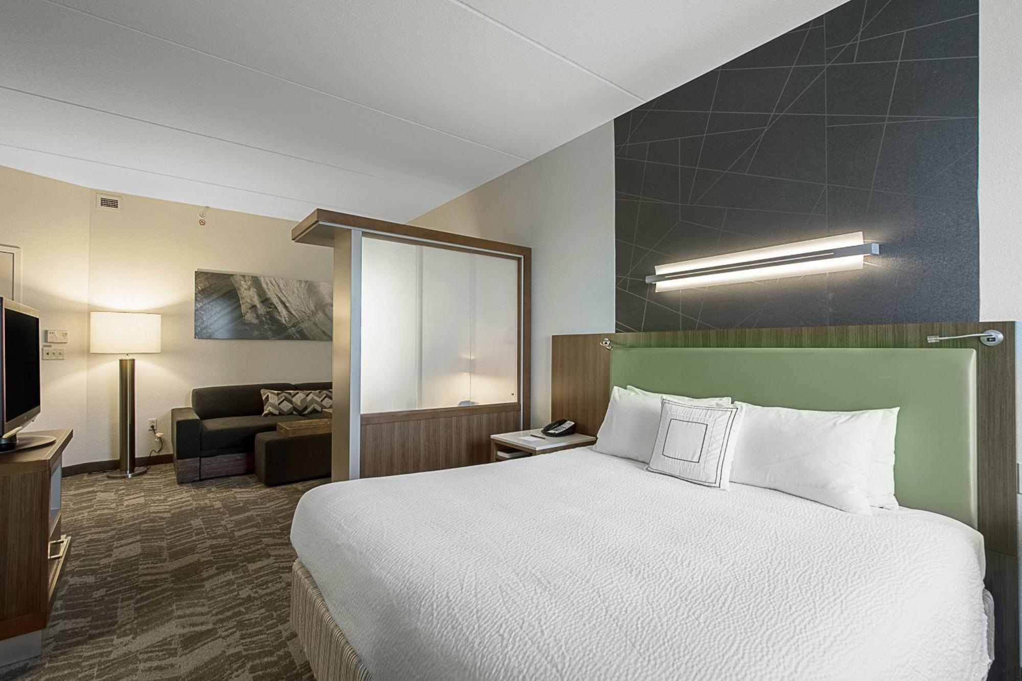 Springhill Suites Tampa North/Tampa Palms Esterno foto