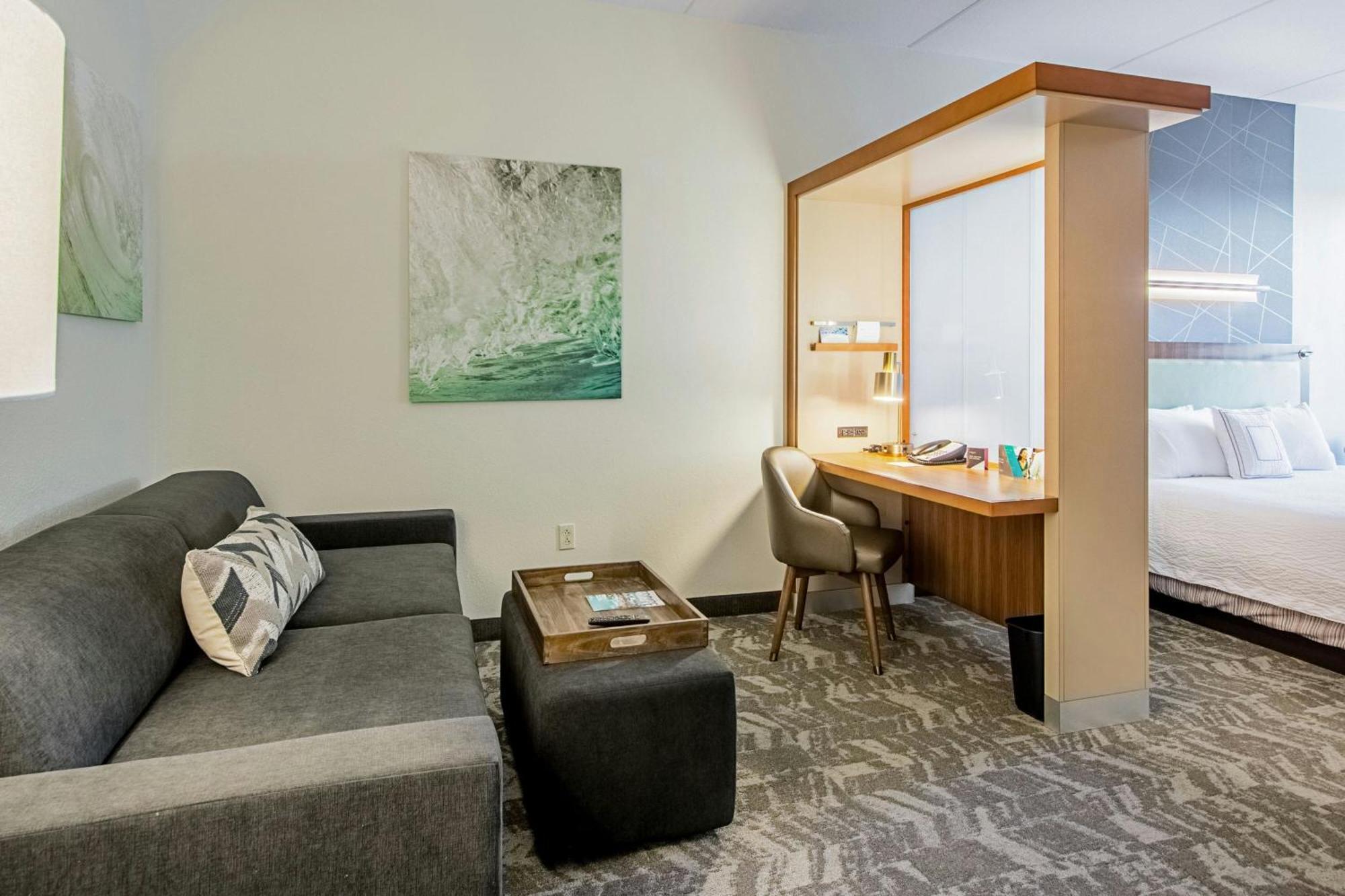 Springhill Suites Tampa North/Tampa Palms Esterno foto