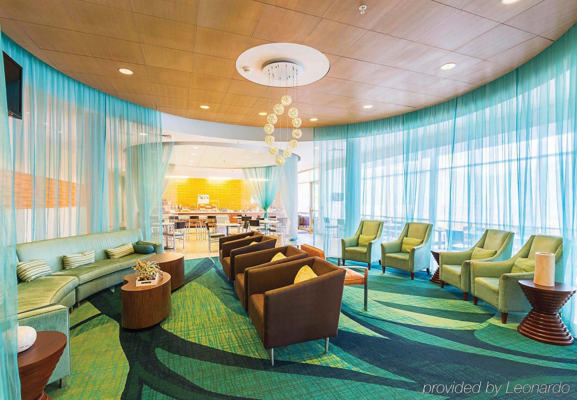 Springhill Suites Tampa North/Tampa Palms Esterno foto
