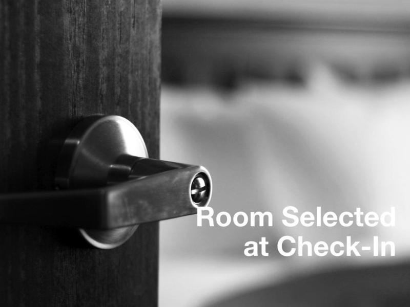 Springhill Suites Tampa North/Tampa Palms Esterno foto
