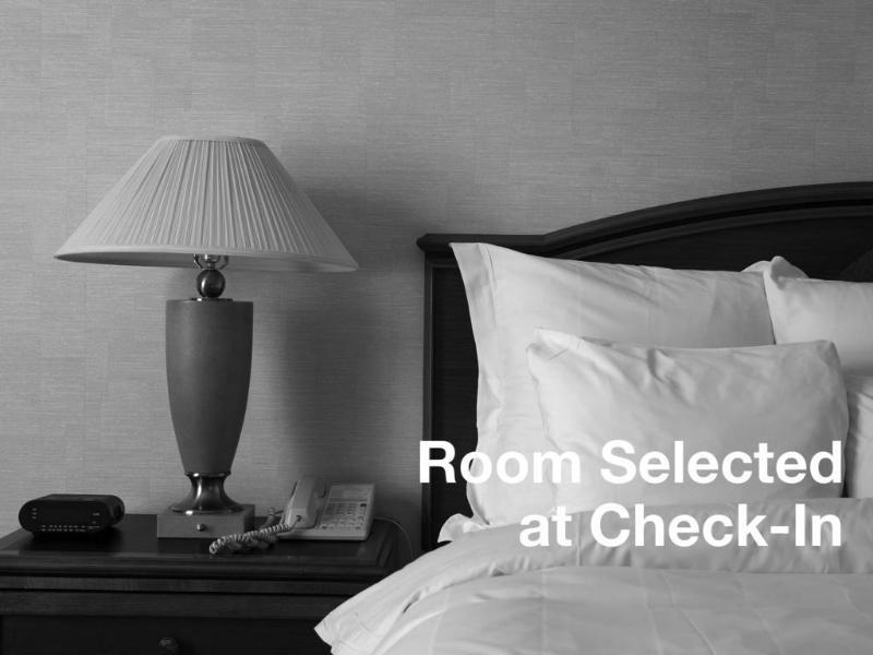 Springhill Suites Tampa North/Tampa Palms Esterno foto